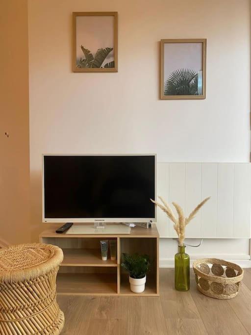 The Jungle Studio, Loggia & Parking Dans Residence Romans-sur-Isère Exteriér fotografie