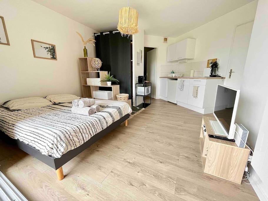 The Jungle Studio, Loggia & Parking Dans Residence Romans-sur-Isère Exteriér fotografie