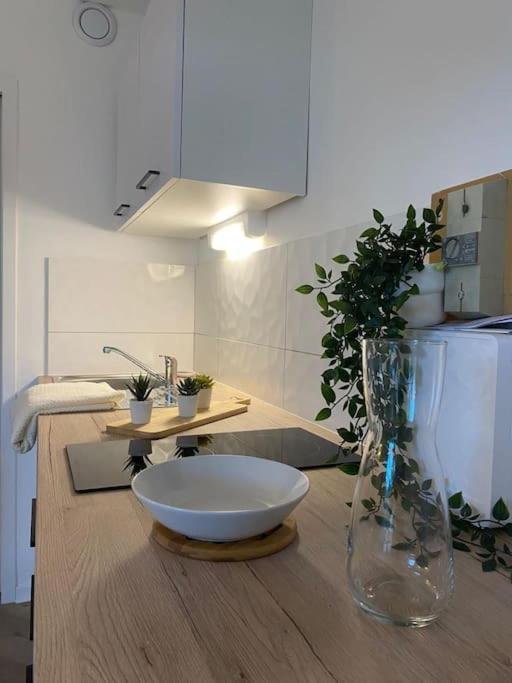 The Jungle Studio, Loggia & Parking Dans Residence Romans-sur-Isère Exteriér fotografie